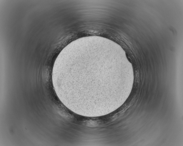 X0000111040412200908061501