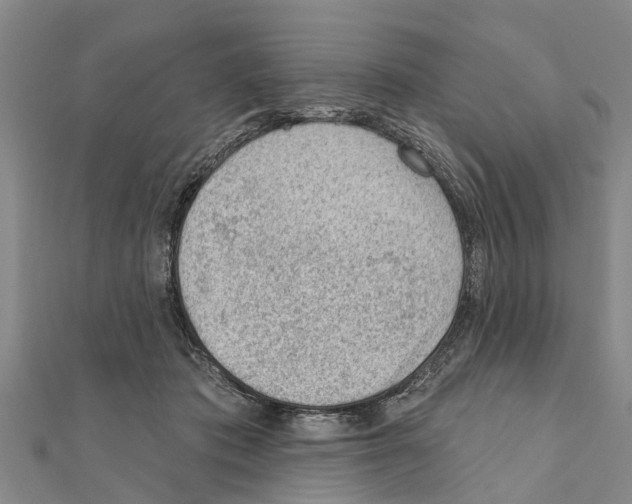 X0000111040413200908061501