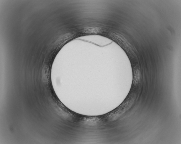 X0000111040414200908061500