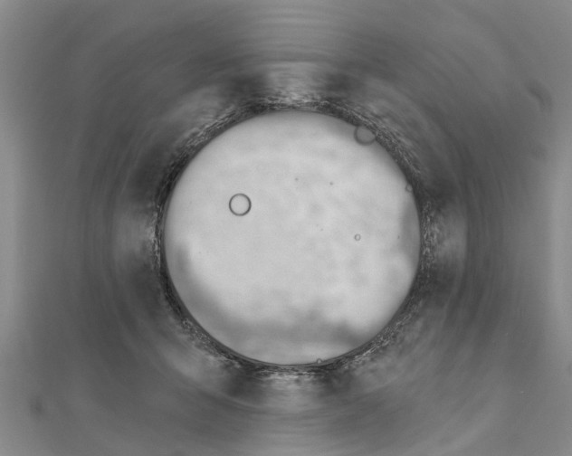 X0000111040415200908061500