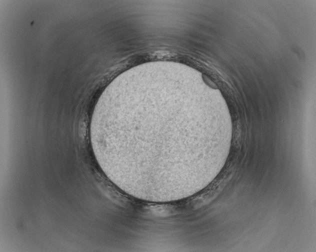 X0000111040417200908061500