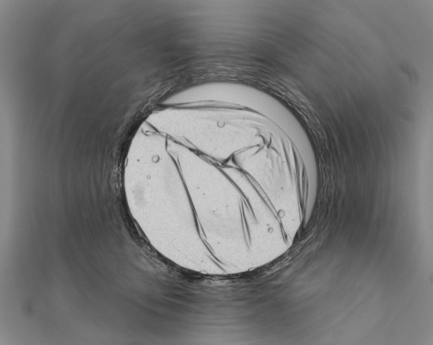 X0000111040419200908061500