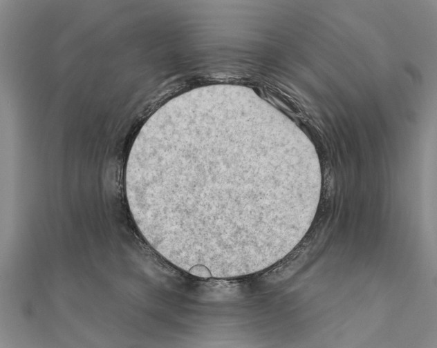 X0000111040421200908061500