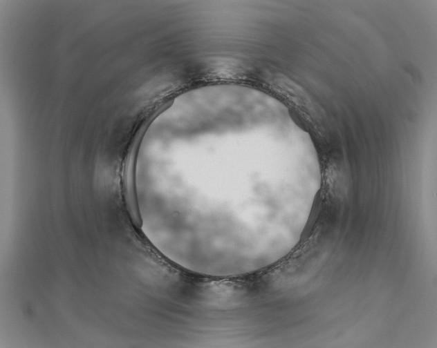 X0000111040423200908061500