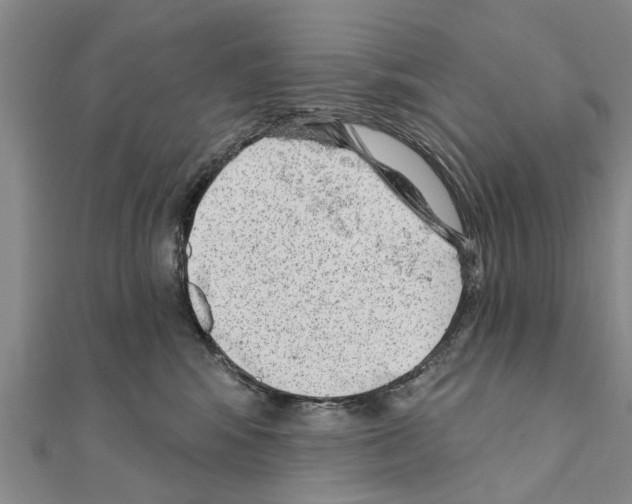 X0000111040424200908061500