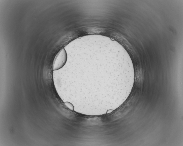 X0000111040426200908061500