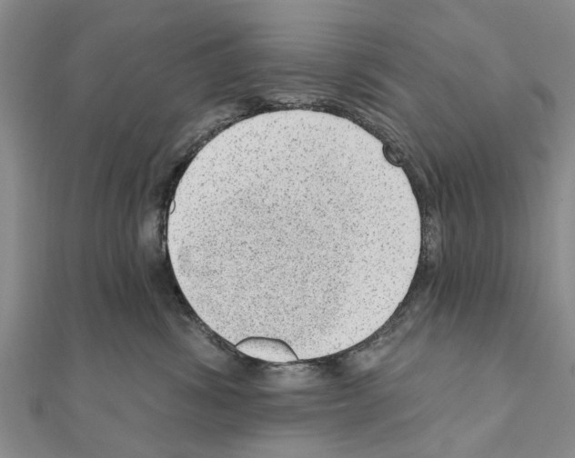 X0000111040428200908061500