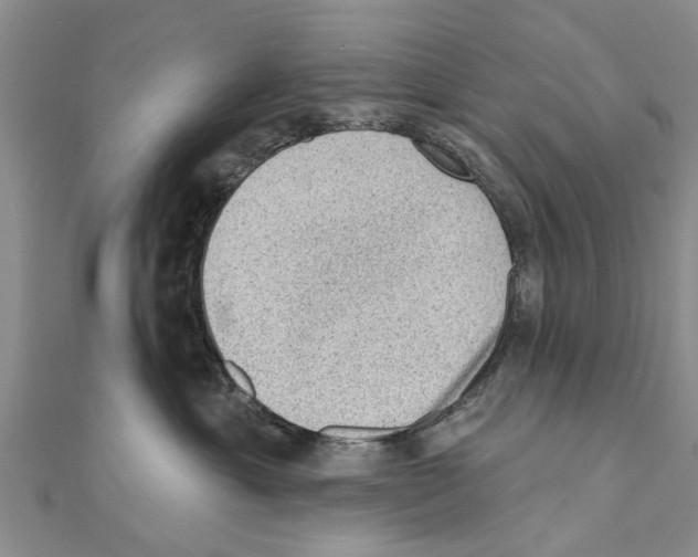 X0000111040429200908061500