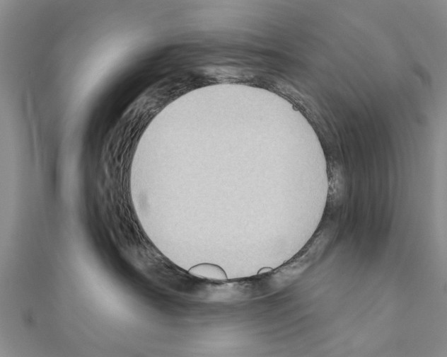 X0000111040430200908061500