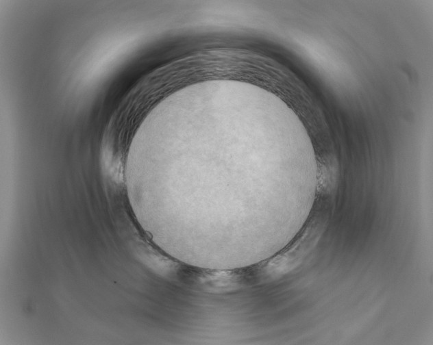 X0000111040431200908061500