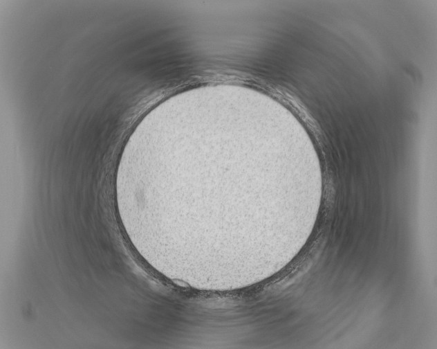 X0000111040433200908061500