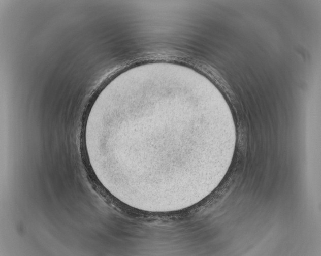 X0000111040434200908061500