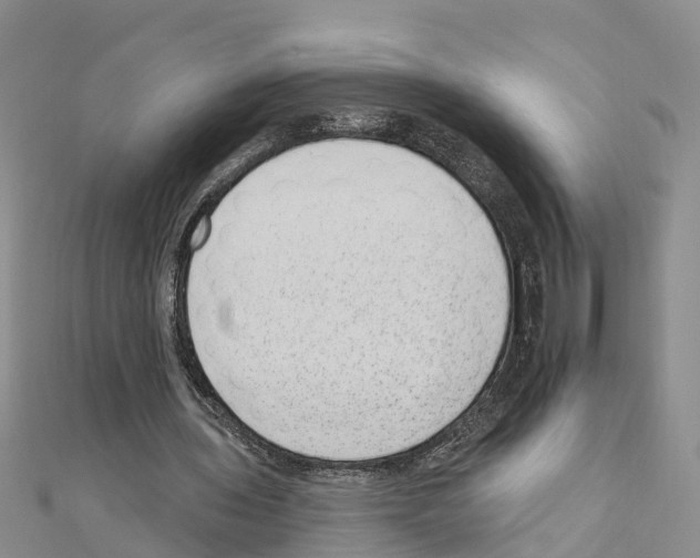 X0000111040435200908061500