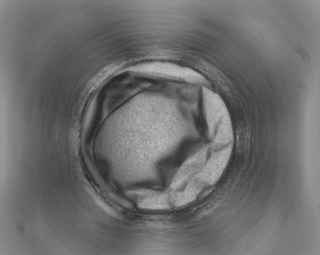 X0000111040436200908061500