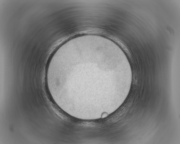 X0000111040437200908061500