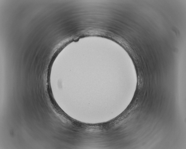 X0000111040438200908061500