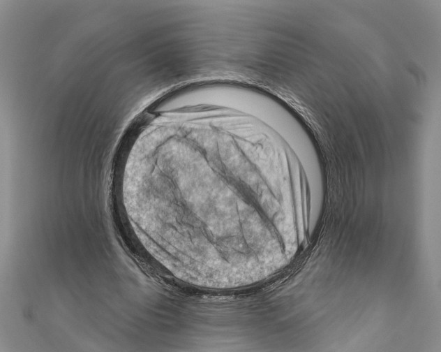 X0000111040440200908061500