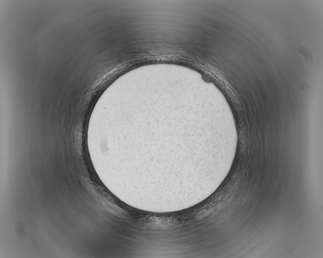 X0000111040442200908061500