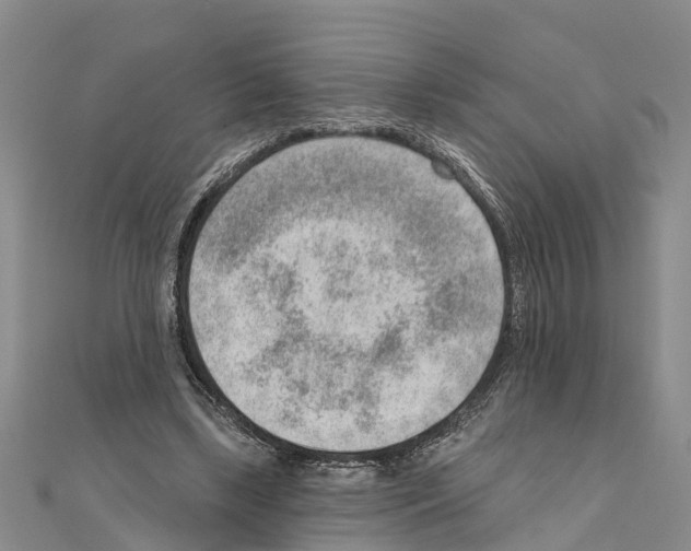 X0000111040443200908061500