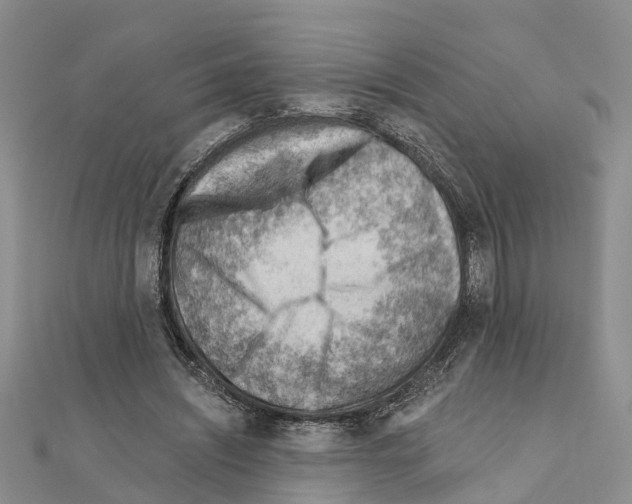 X0000111040444200908061500