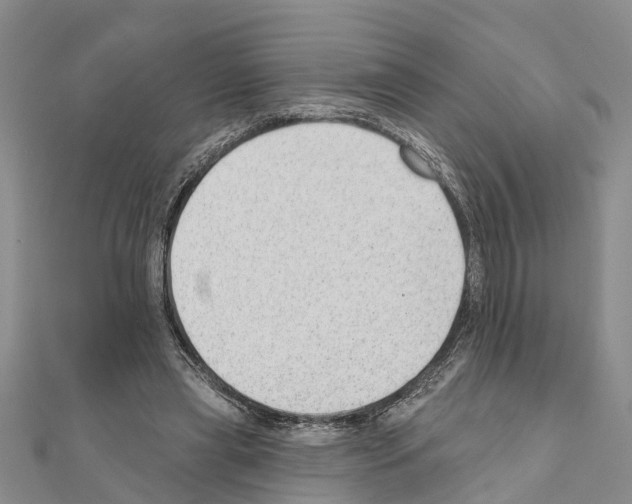 X0000111040445200908061500