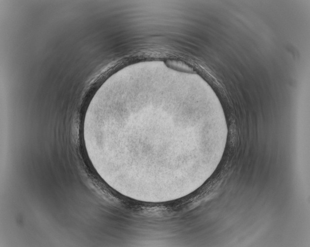 X0000111040446200908061500