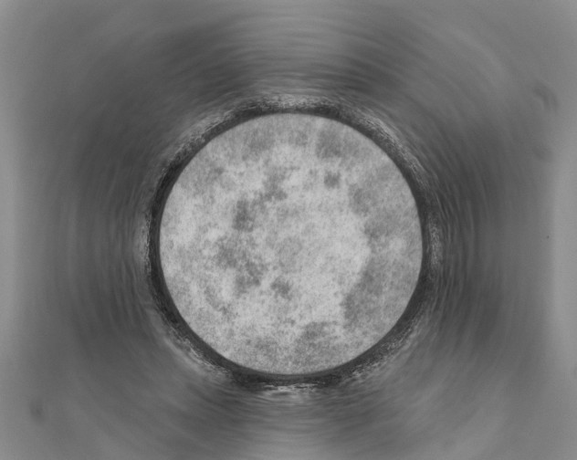 X0000111040447200908061500