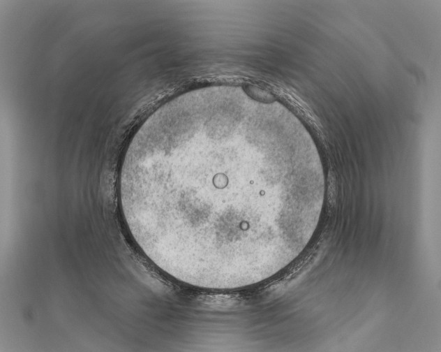 X0000111040449200908061500