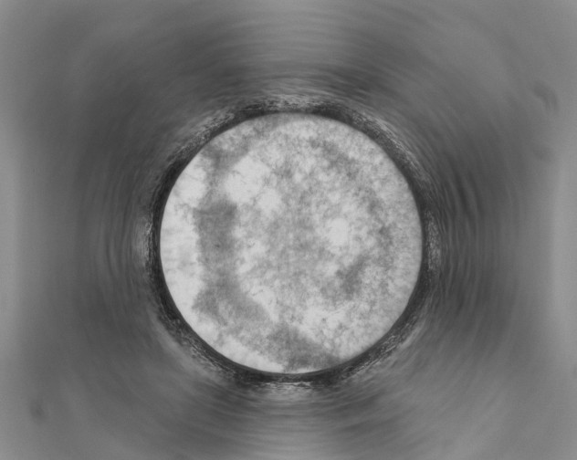 X0000111040451200908061500