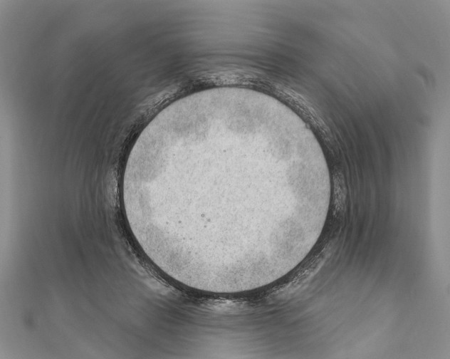 X0000111040453200908061500