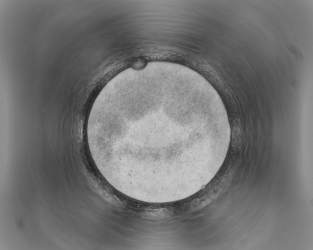 X0000111040454200908061500