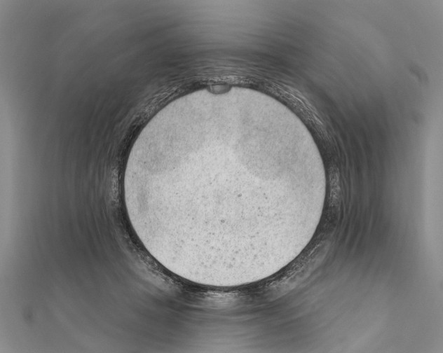 X0000111040457200908061500