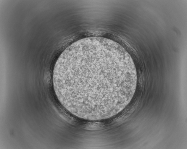 X0000111040459200908061500