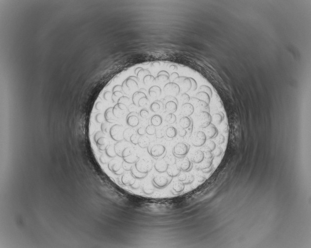 X0000111040466200908061500