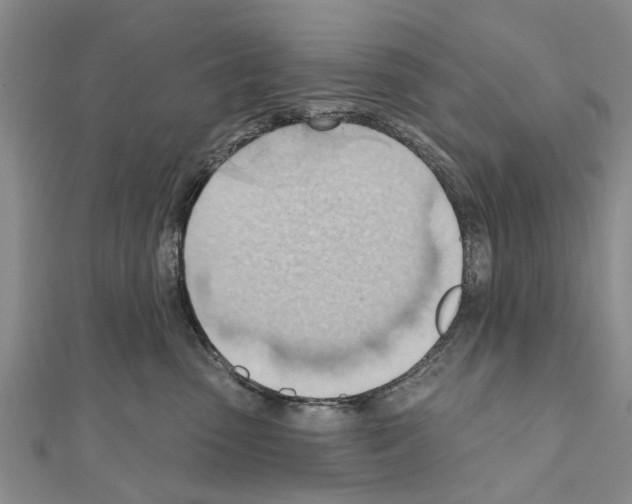 X0000111040475200908061500