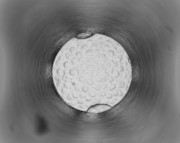 X0000111040478200908061500