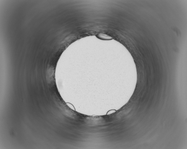 X0000111040480200908061500