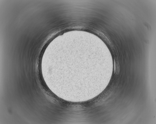 X0000111040483200908061500