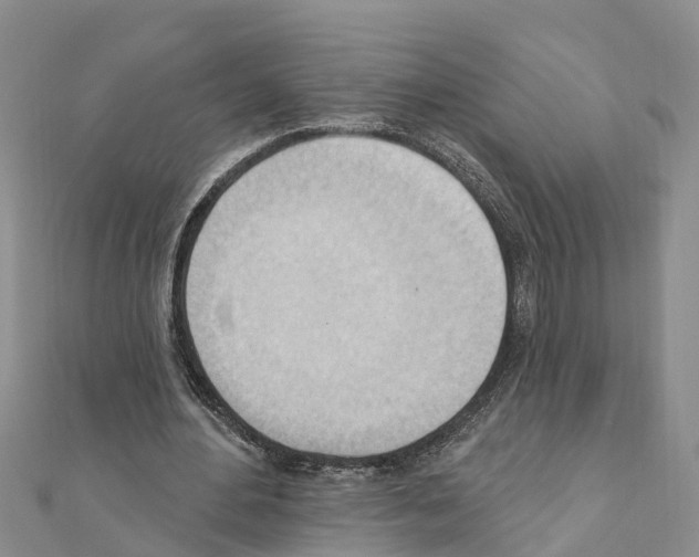 X0000111040484200908061500