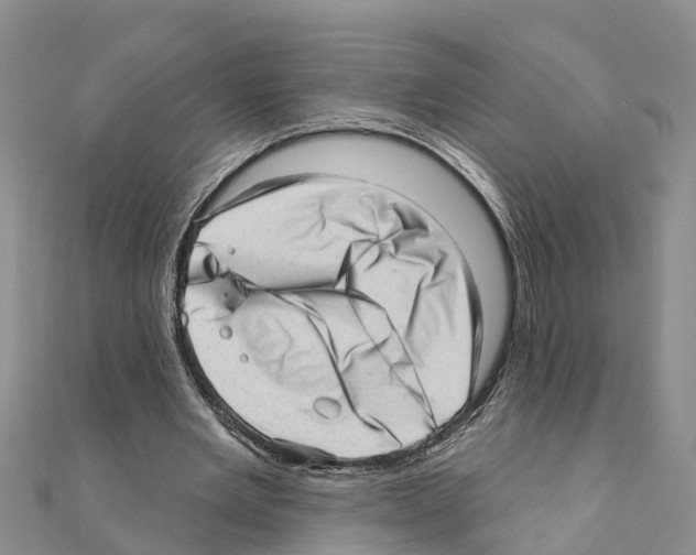 X0000111040485200908061500