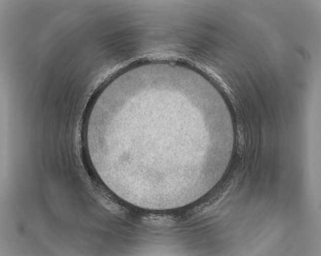 X0000111040487200908061500