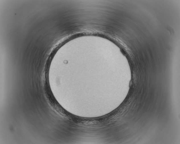 X0000111040488200908061500