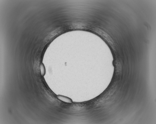 X0000111040489200908061500