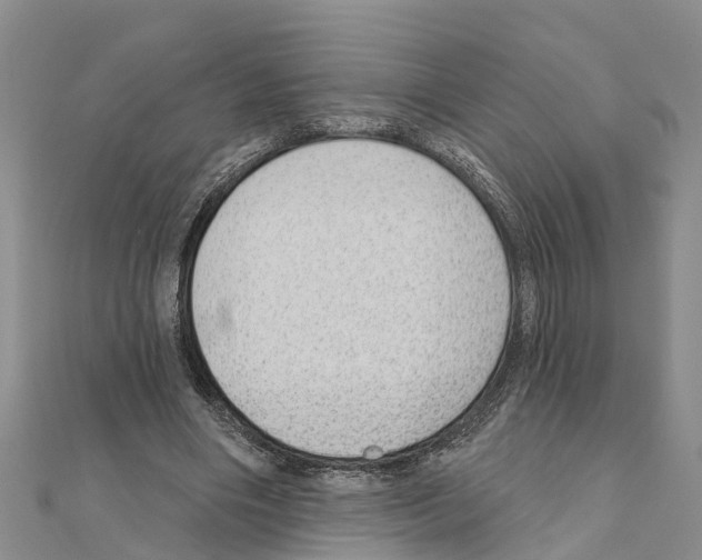 X0000111040490200908061500