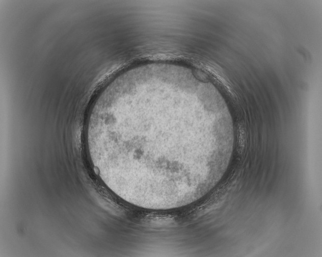 X0000111040491200908061500