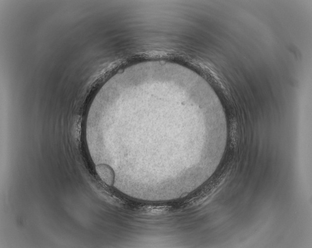 X0000111040495200908061459