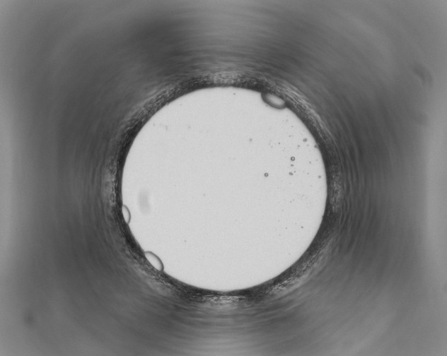 X0000111040497200908061459