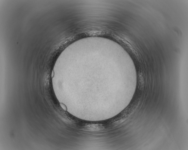 X0000111040499200908061459