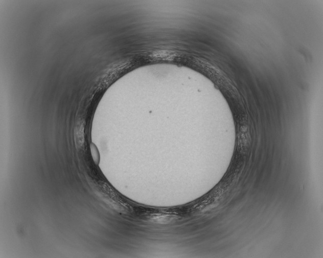 X0000111040504200908061459