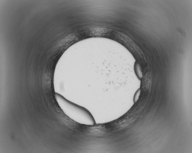 X0000111040505200908061459